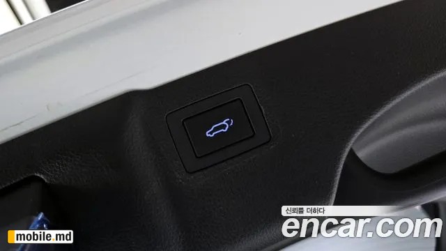 2018 Hyundai Maxcruz — photo 19