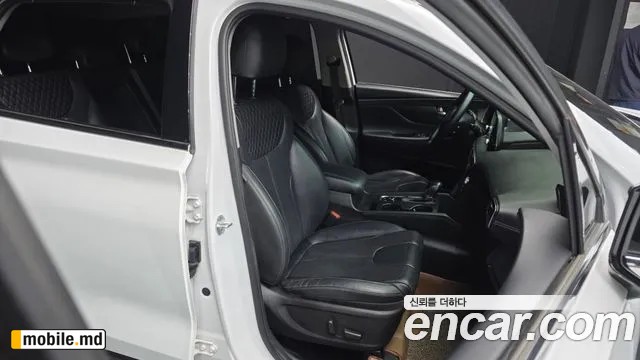 2019 Hyundai Santafe — photo 12