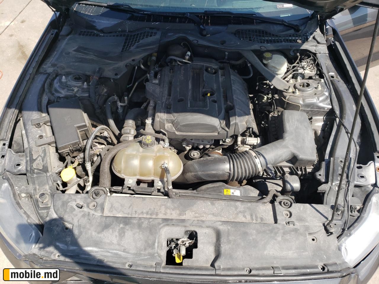 2015 Ford Mustang — photo 7