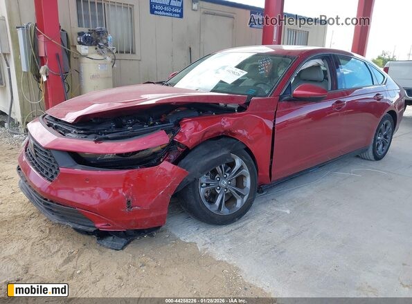 2024 Honda Accord — photo 2