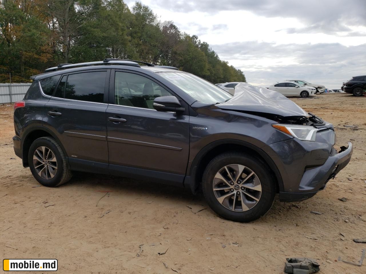 2018 Toyota RAV4 — photo 4