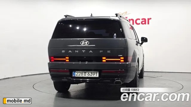 2025 Hyundai Santafe — photo 4