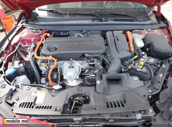 2024 Honda Accord — photo 10