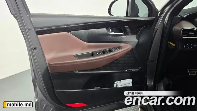 2019 Hyundai Santafe — photo 25