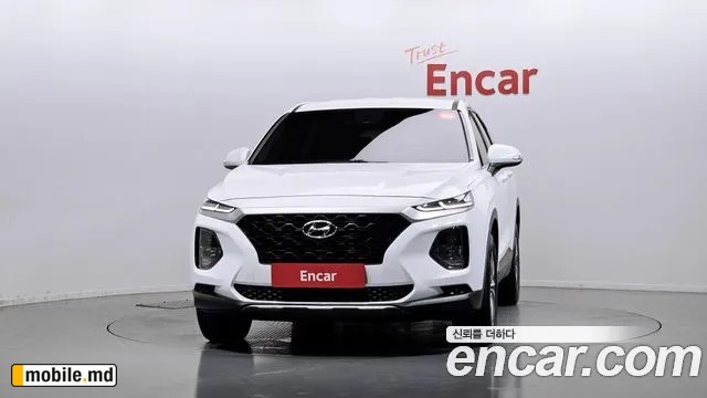 2019 Hyundai Santafe — photo 3