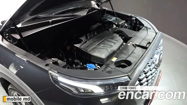 2020 Hyundai Palisade — photo 6