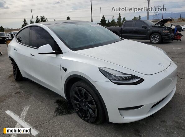 2020 Tesla Model Y — photo 4