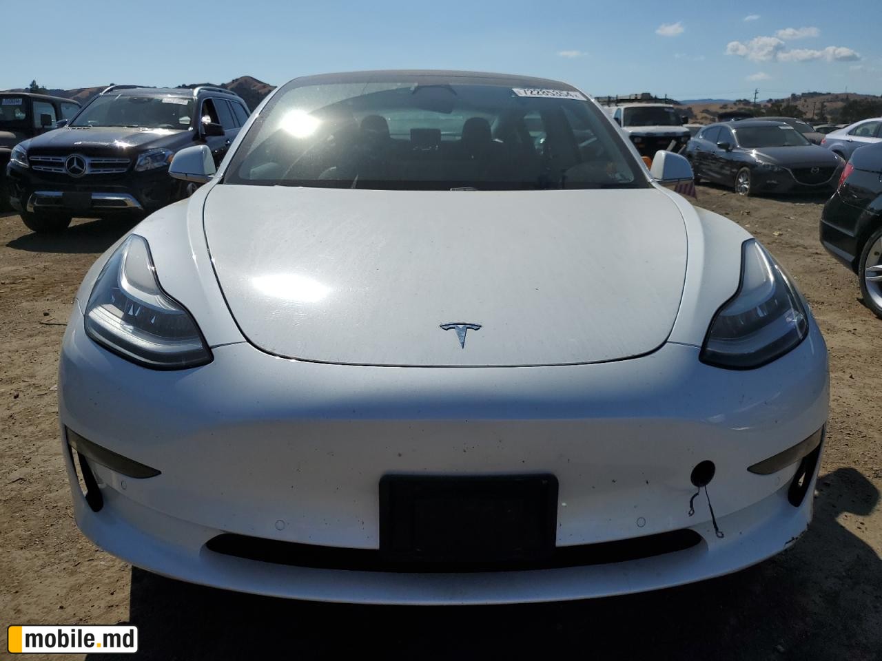 2020 Tesla Model 3 — photo 5