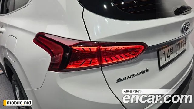 2019 Hyundai Santafe — photo 23