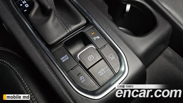 2019 Hyundai Santafe — photo 29