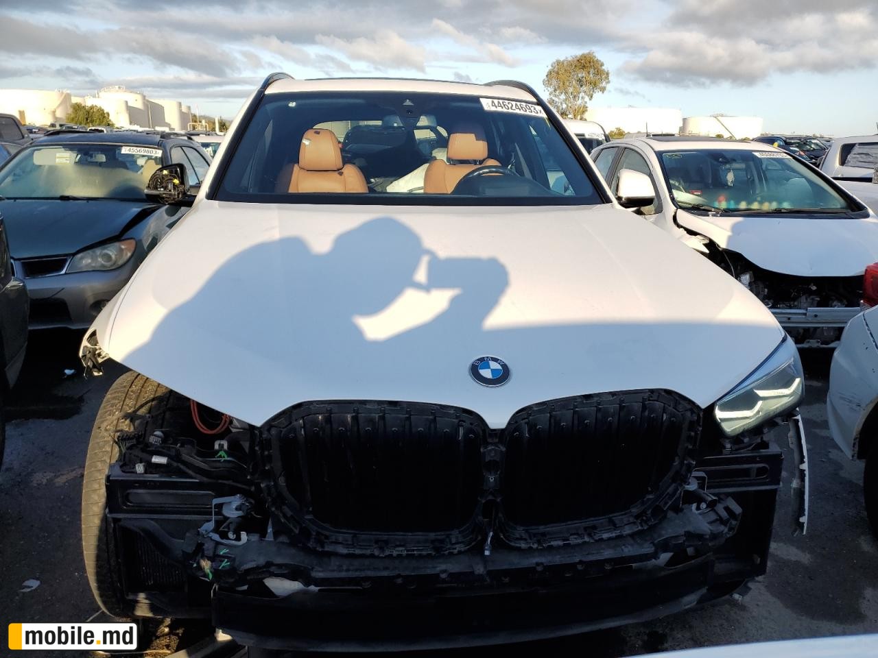 2019 BMW X5 — photo 5