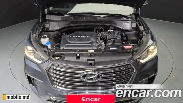 2017 Hyundai Maxcruz — photo 6