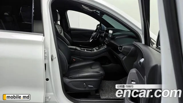 2021 Hyundai Santafe — photo 10