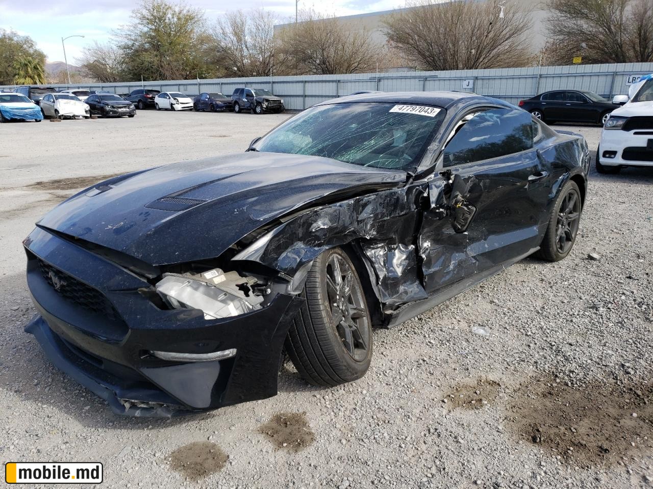 2019 Ford Mustang