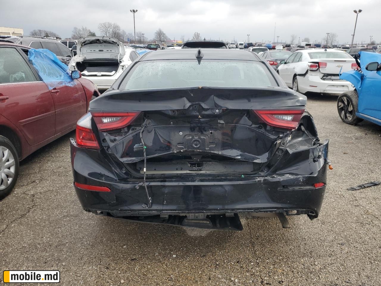 2019 Honda Insight — photo 6