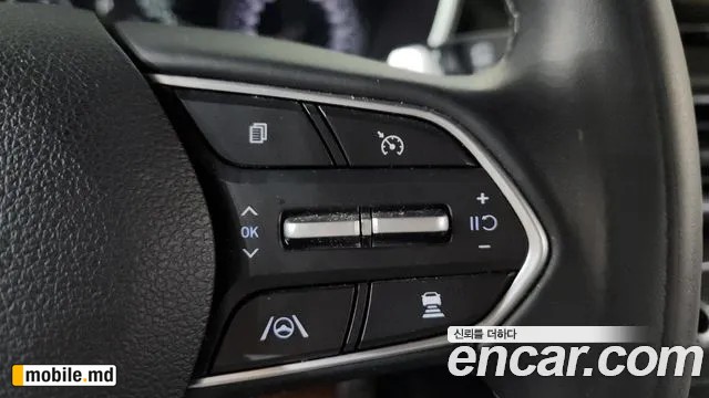 2021 Hyundai Santafe — photo 14