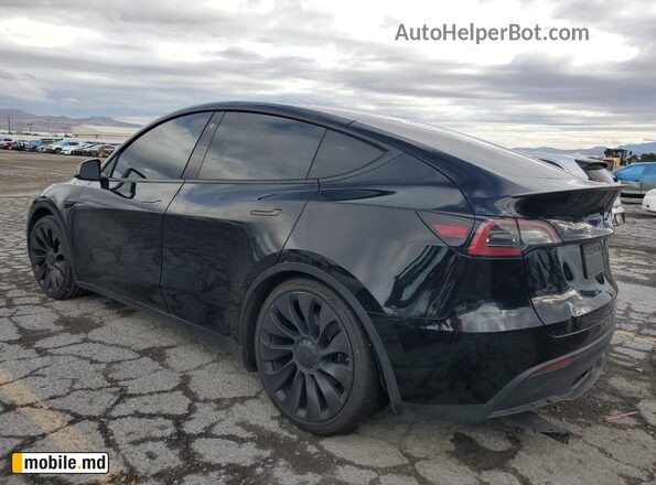 2023 Tesla Model Y — photo 2