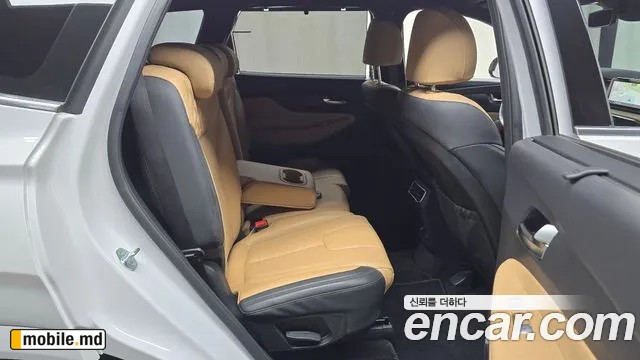 2021 Hyundai Santafe — photo 11