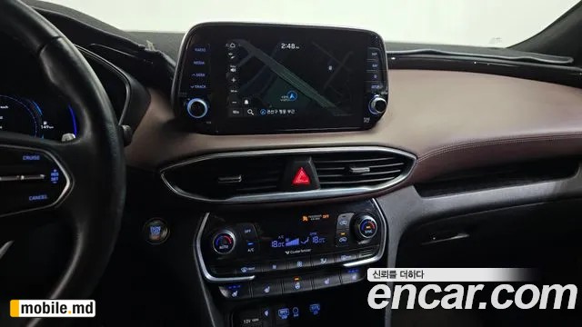 2019 Hyundai Santafe — photo 13