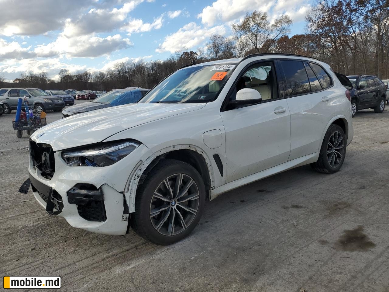 2021 BMW X5