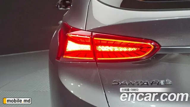 2019 Hyundai Santafe — photo 23