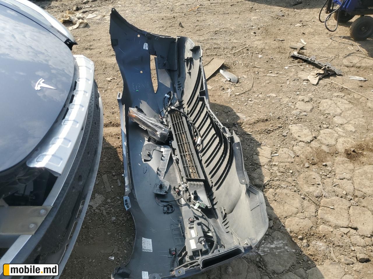 2021 Tesla Model Y — photo 12