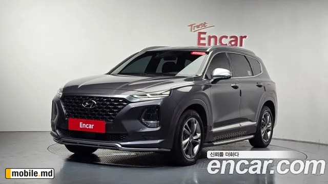 2019 Hyundai Santafe — photo 11