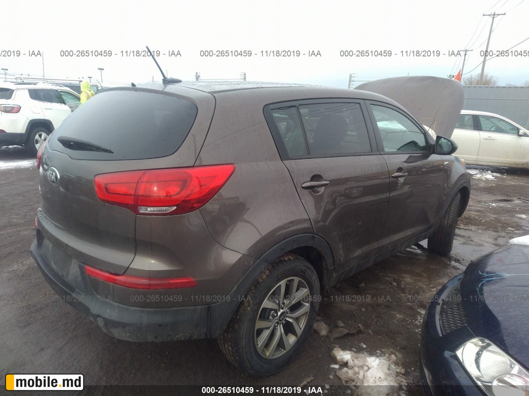 2015 Kia Sportage — photo 4