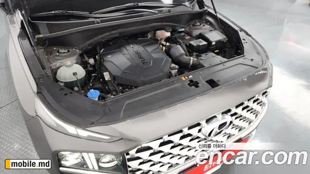 2021 Hyundai Santafe — photo 6