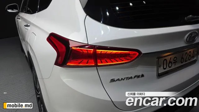2019 Hyundai Santafe — photo 23