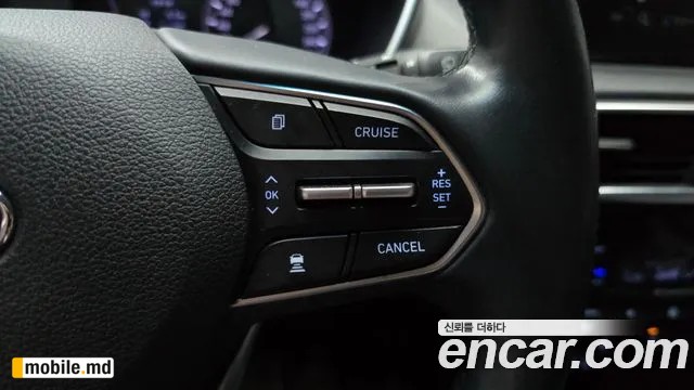 2019 Hyundai Santafe — photo 20