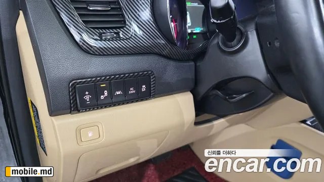 2019 Kia Canival — photo 30
