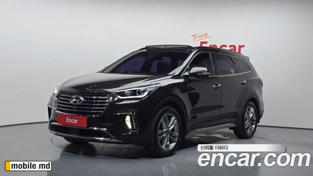 2018 Hyundai Maxcruz