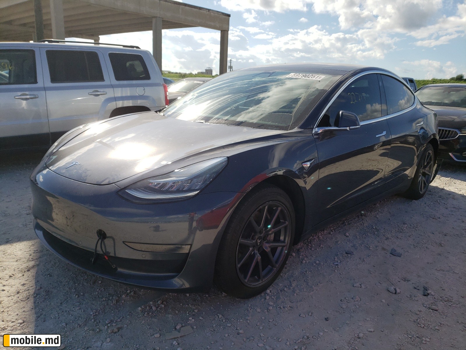 2019 Tesla Model 3 — photo 2