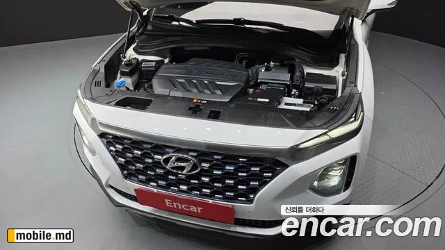 2019 Hyundai Santafe — photo 6