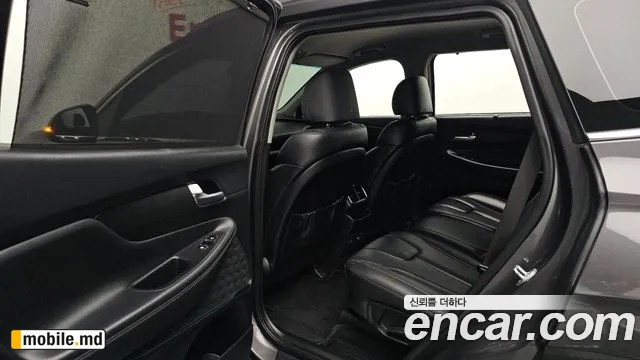 2020 Hyundai Santafe — photo 12