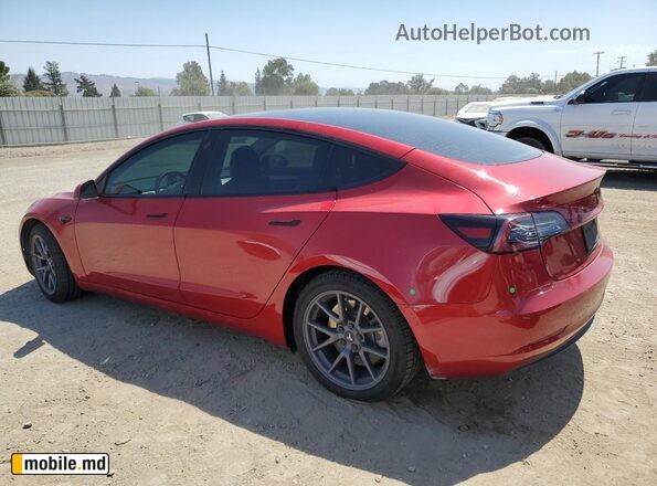 2021 Tesla Model 3 — photo 2