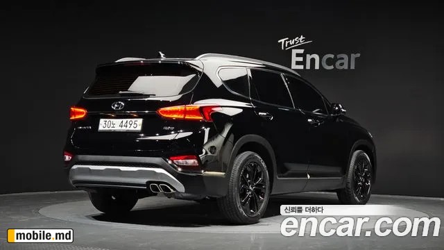 2019 Hyundai Santafe — photo 2