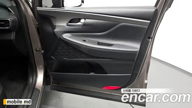 2019 Hyundai Santafe — photo 25