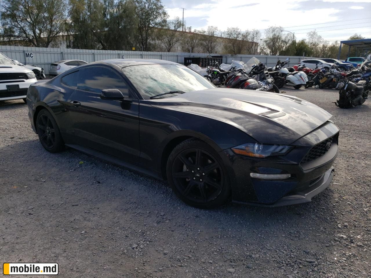 2019 Ford Mustang — photo 3