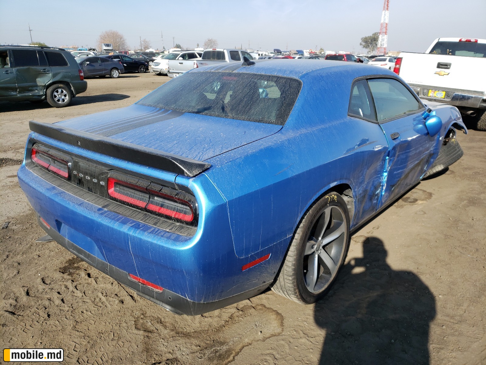 2019 Dodge Challenger — photo 4