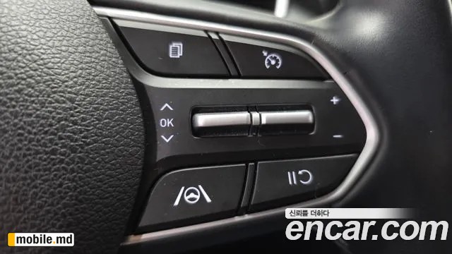 2021 Hyundai Santafe — photo 17