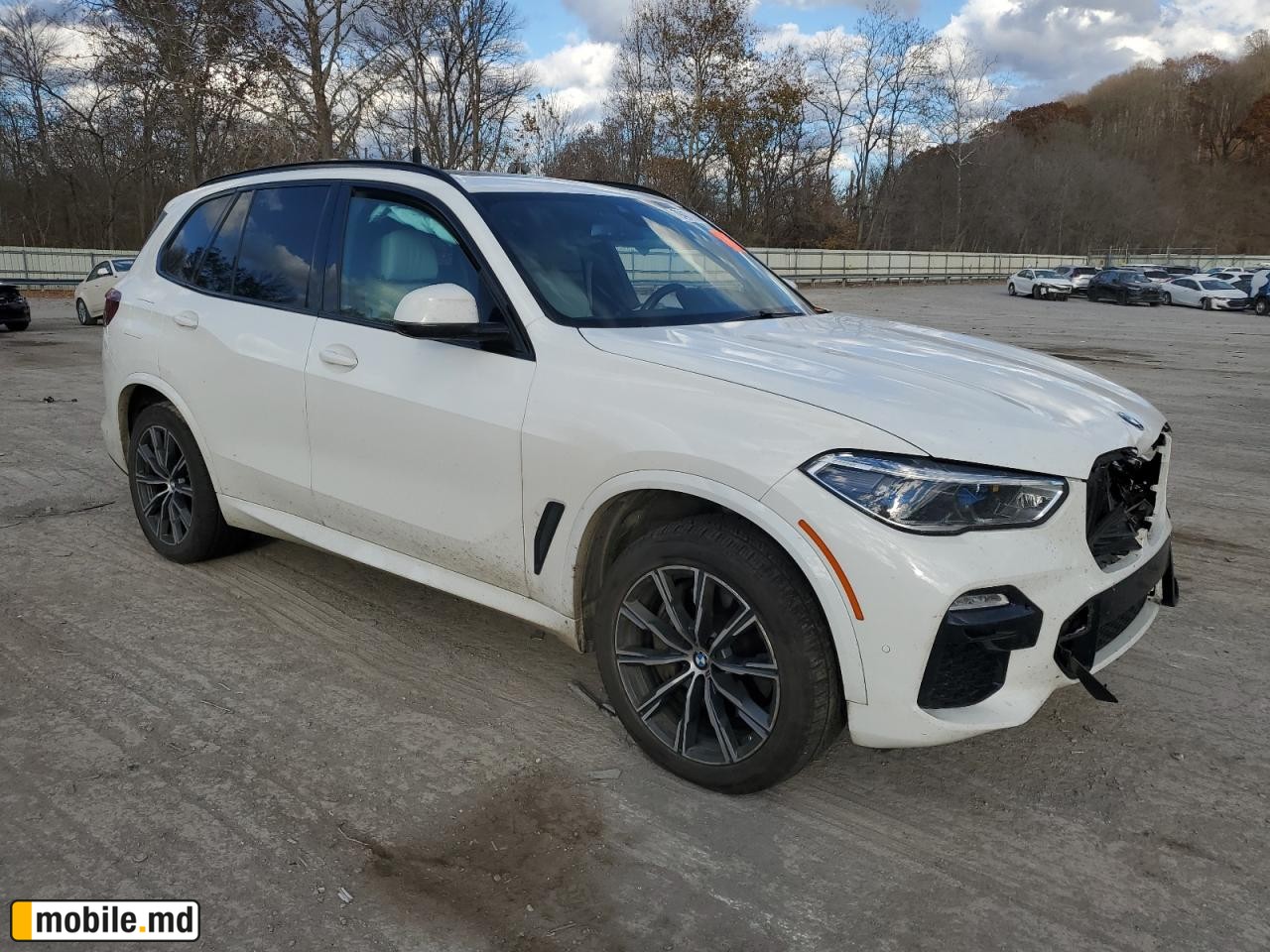2021 BMW X5 — photo 4