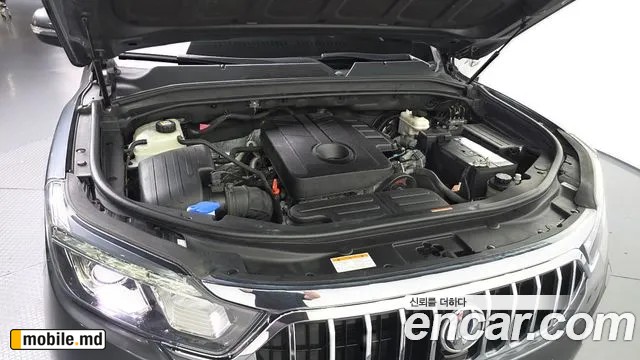 2020 Li Rexton — photo 6
