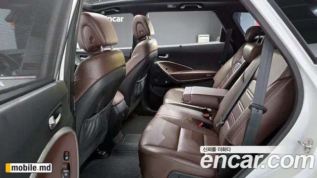 2018 Hyundai Maxcruz — photo 12