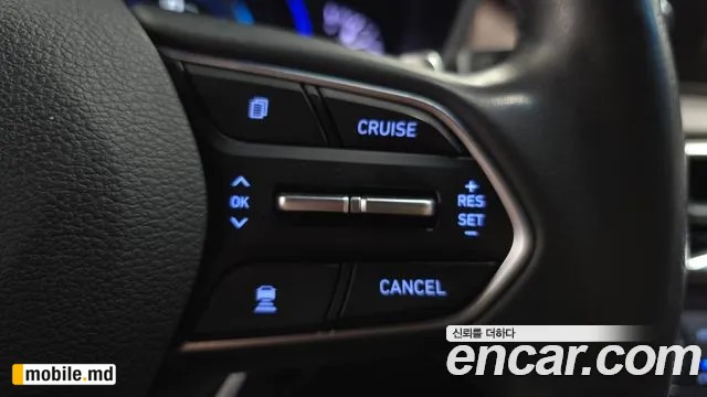 2019 Hyundai Santafe — photo 17