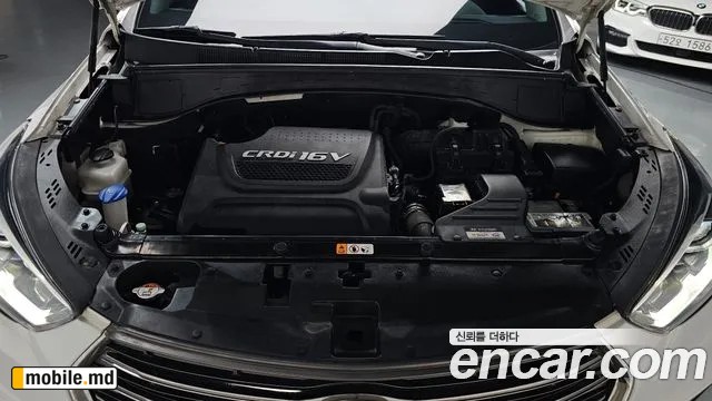 2018 Hyundai Maxcruz — photo 6