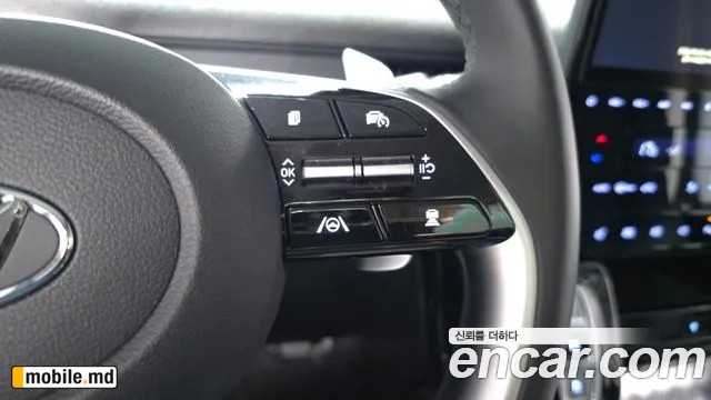 2025 Hyundai ST1 — photo 30