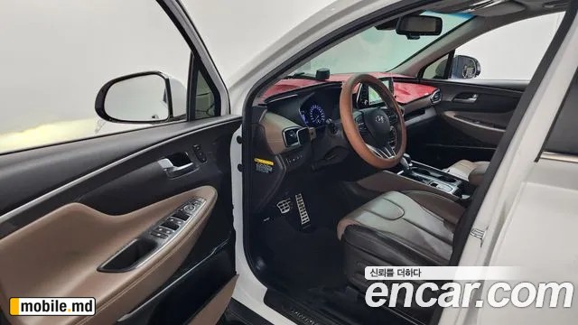 2019 Hyundai Santafe — photo 9