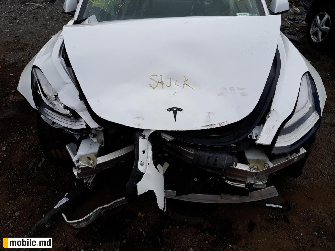 2021 Tesla Model 3 — photo 7
